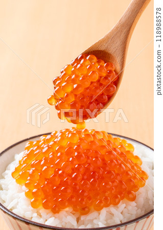 Ikura-rice bowl Ikura-rice bowl 118988578