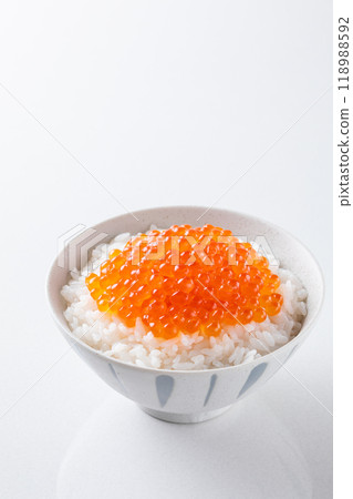 Ikura-rice bowl 118988592