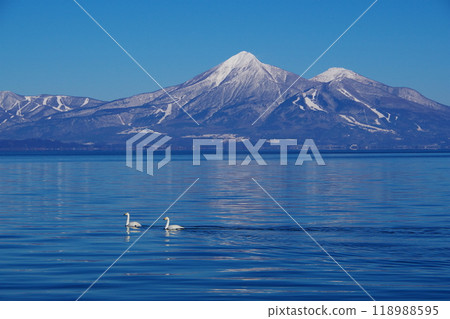 Two swans gracefully swimming on the surface of Lake Inawashiro with a clear blue sky and Mt. Bandai in the background. Ver3 118988595