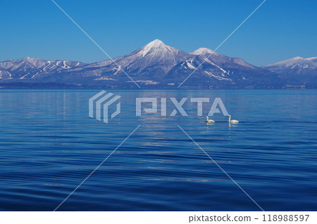 Two swans gracefully swimming on the surface of Lake Inawashiro with a clear blue sky and Mt. Bandai in the background. Ver1 118988597