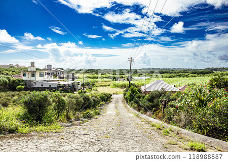 簡單的沖繩風景 118988887