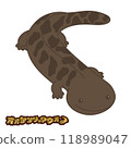 Giant salamander illustration 118989047