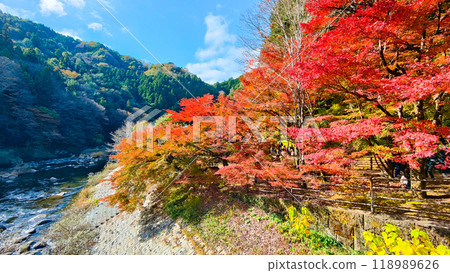 Korankei (Autumn) 118989626