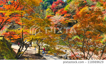 Korankei (Autumn) Korankei (Autumn) 118989629