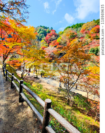 香蘭溪（秋季） 118989635