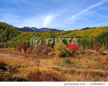 晴朗的秋日，乘鞍高原和一之瀨草原的秋葉 118989647