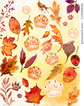 Autumn leaves and paw prints Autumn leaves and paw prints 118989689