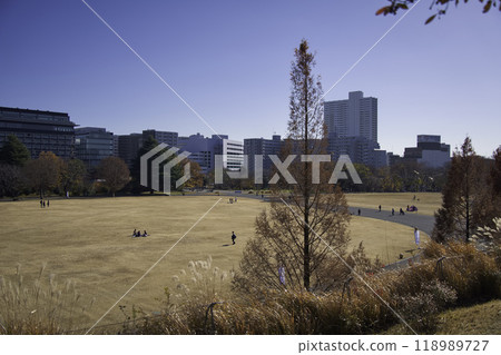 公園和建築物 公園和建築物 118989727