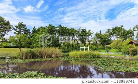 神奈川縣橫濱市中區本牧市民公園橫濱上海友誼紀念館的秋夏 118989741
