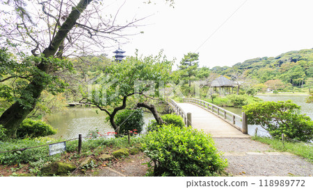 Sankeien Garden, a scenic spot in Honmoku, Yokohama, Kanagawa Prefecture. Summer at Sankeien Garden Sankeien Garden, a scenic spot in Honmoku, Yokohama, Kanagawa Prefecture. Summer at Sankeien Garden 118989772