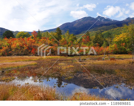 從乘鞍高原一之瀨草原的泥鰍池看到的乘鞍山，紅葉染紅了 118989881