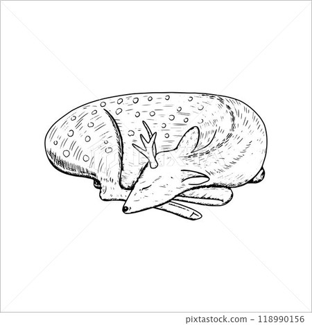 Sleeping deer. Hand drawn vector illustration 118990156