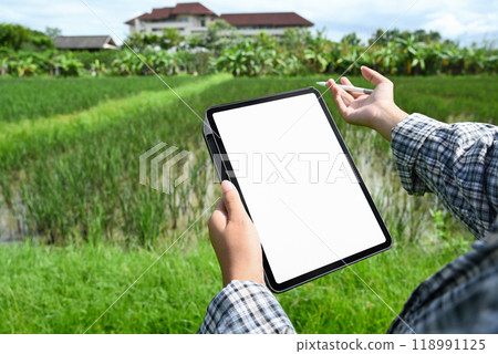 Agronomist or farmer checking progress or managing crops at the green field. Modern agricultural practices concept 118991125