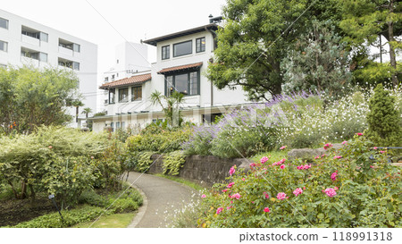 Franceyama 公園（Port View Hill 公園）的秋天 118991318