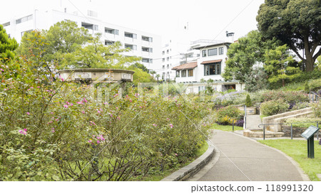 Franceyama 公園(Port View Hill 公園)的秋天 Franceyama 公園(Port View Hill 公園)的秋天 118991320