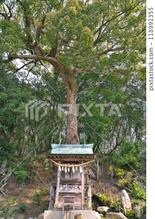 [Urasaki Michikoshi Itsukushima Shrine] Urasakicho, Onomichi City, Hiroshima Prefecture 118991355