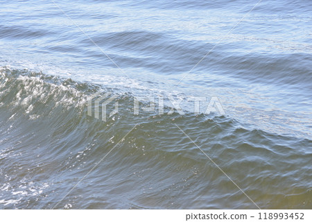 海 海 118993452