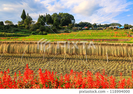 秋天的鄉村 118994000