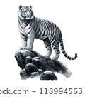 老虎站在懸崖上 118994563