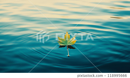 leaf, lake, maple 118995666