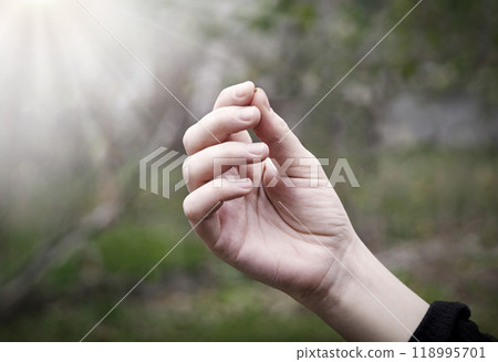 Hand holding a small mustard seed 118995701