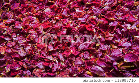 Natural background of rose petals Natural background of rose petals 118995710