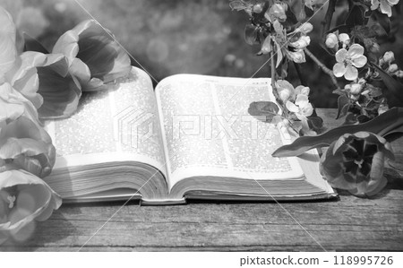 Still life from ancient book and lush boquet 118995726