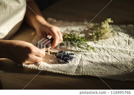 Female hand uses natural twine to tie lavender sprigs. Preparing fresh herbs for drying 118995766