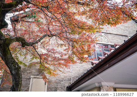 Autumn foliage at Katakura Hall facing Lake Suwa (Suwa City, Nagano Prefecture) 118996627