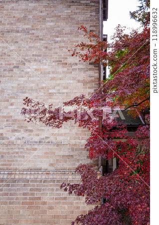 面對諏訪湖的片倉館的紅葉（長野縣諏訪市） 118996632