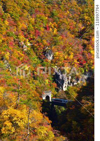 秋天的鳴子峽 118997764