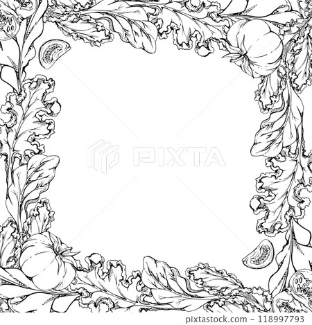 Green salad spinach kale leaf tomato, diet healthy lifestyle, vegan cooking. Hand drawn vector ink. Illustration border frame isolated on white background. Design recipe book, website, card, menu 118997793