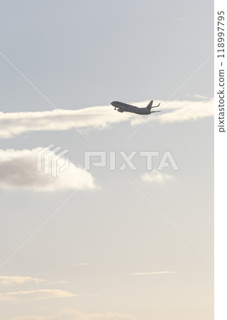 Airplane that took off 118997795