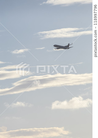 Airplane that took off 118997796