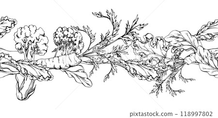 Hand drawn vector ink vegetables and green salad mix for diet, healthy lifestyle, vegan cooking. Illustration seamless border isolated on white background. Design recipe book, website, card, menu 118997802