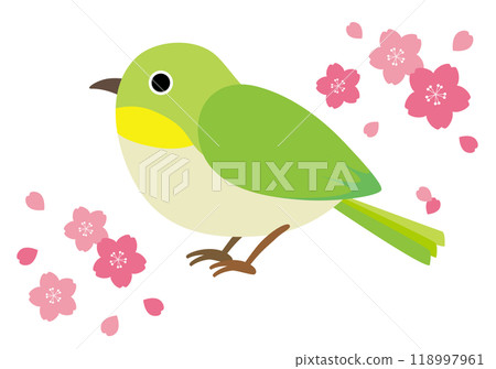 Illustration of cherry blossoms and white-eye Illustration of cherry blossoms and white-eye 118997961