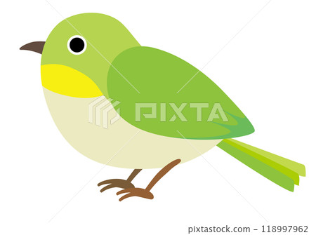 Single illustration of a Japanese white-eye 118997962