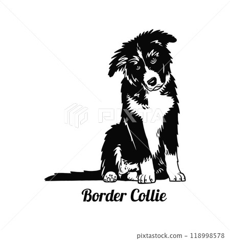 Puppy Border Collie - Dog Breed, Funny dog Vector File, detailed vector 118998578