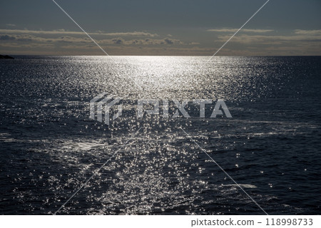 [The glow of the sea] The Pacific Ocean as seen from the World Heritage Site "Onigajo" 118998733