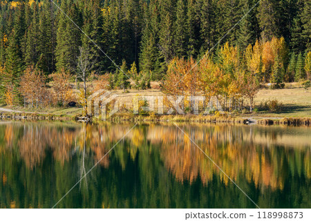Yellow autumn leaves forest reflected on the water. Canadian Rockies fall scenery in Quarry Lake, Canmore, Alberta, Canada. 118998873