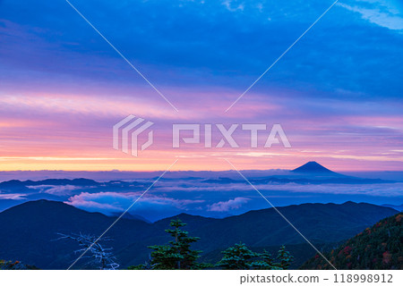 [Yamanashi Prefecture] Mt. Fuji seen from Mt. Kokushigatake as the leaves begin to turn red at dawn 118998912