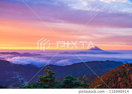 [Yamanashi Prefecture] Mt. Fuji seen from Mt. Kokushigatake as the leaves begin to turn red at dawn 118998914