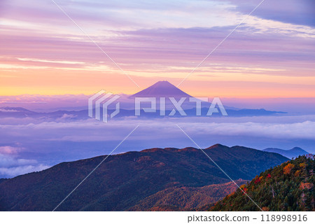 [Yamanashi Prefecture] Mt. Fuji seen from Mt. Kokushigatake as the leaves begin to turn red at dawn 118998916