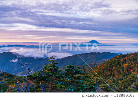 【長野縣】從國志岳眺望富士山，晨光照射下美麗的秋葉 118999102