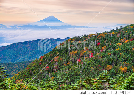 【長野縣】從國志岳眺望富士山，晨光照射下美麗的秋葉 118999104