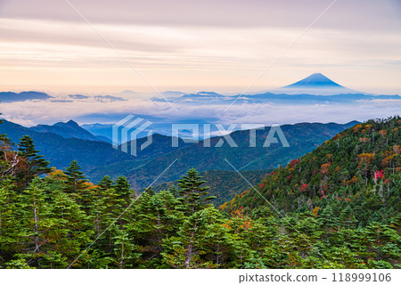 [Nagano Prefecture] Mt. Fuji as seen from Mt. Kokushigatake, with beautiful autumn leaves illuminated in the morning light 118999106