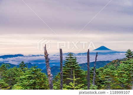 [Nagano Prefecture] Mt. Fuji as seen from Mt. Kokushigatake, with beautiful autumn leaves illuminated in the morning light 118999107