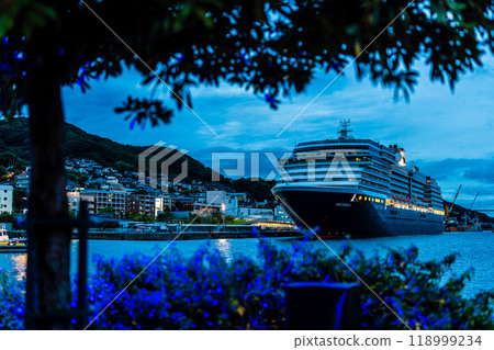 長崎港客船抵達（Westerdam） 水部之森公園夜景燈飾【長崎市】 118999234