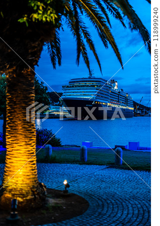 Nagasaki Port Cruise Ship Arrival (Westerdam) Illuminated Night View from Waterfront Forest Park [Nagasaki City] 118999240