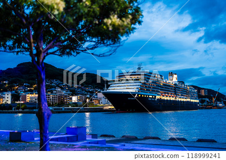 Nagasaki Port Cruise Ship Arrival (Westerdam) Illuminated Night View from Waterfront Forest Park [Nagasaki City] 118999241